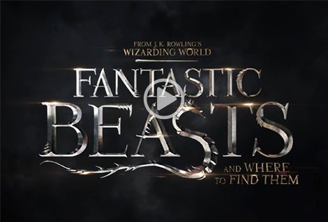 Nouveau trailer des Animaux Fantastiques