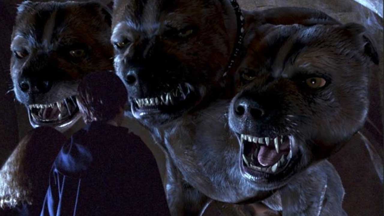 Les chiens dans l’univers d’Harry Potter !