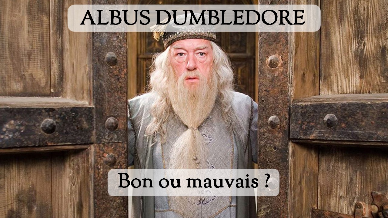 Dumbledore, bon ou mauvais ?