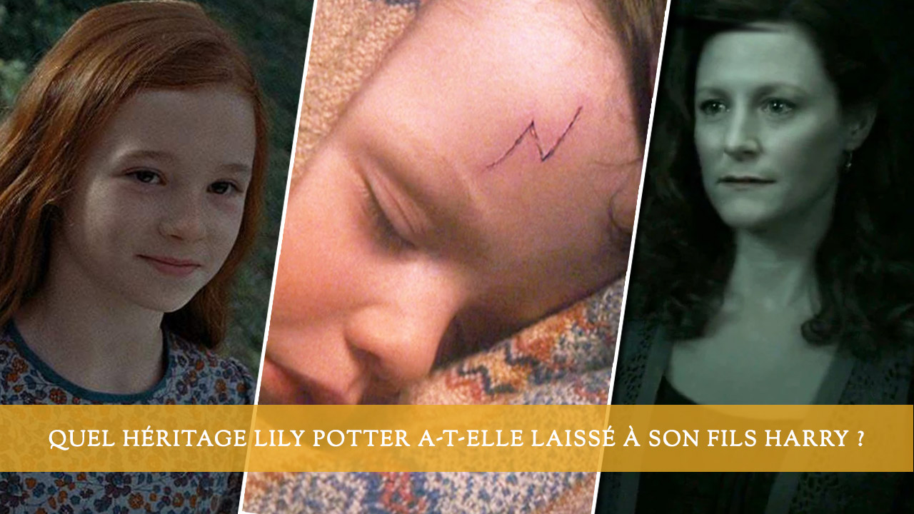 Quel héritage Lily Potter a-t-elle laissé à son fils Harry ?