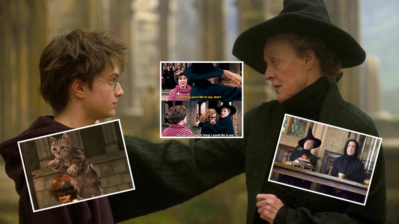 5 raisons qui nous font adorer McGonagall