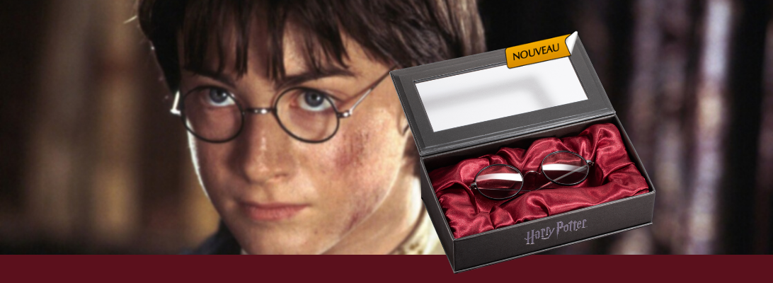 Lunettes Harry Potter title=